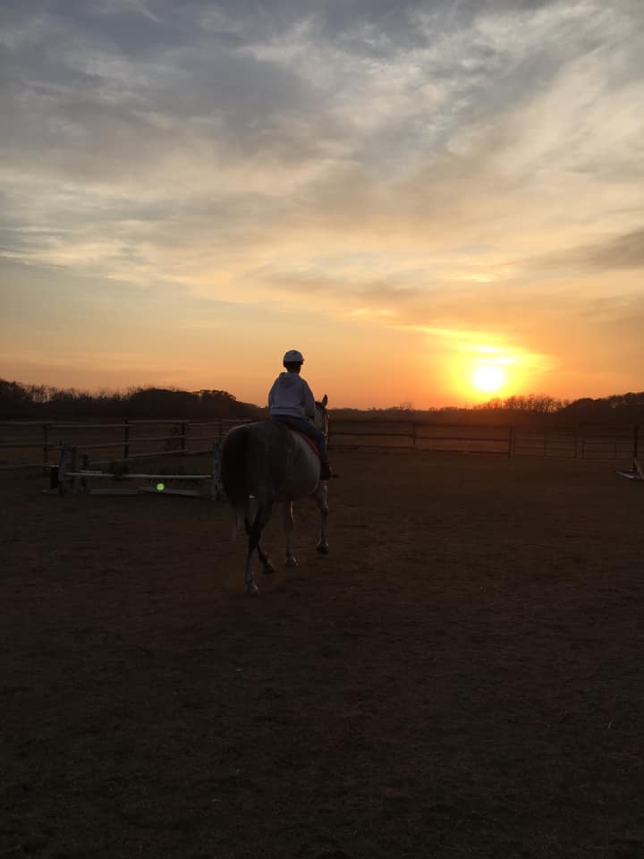 riding lessons