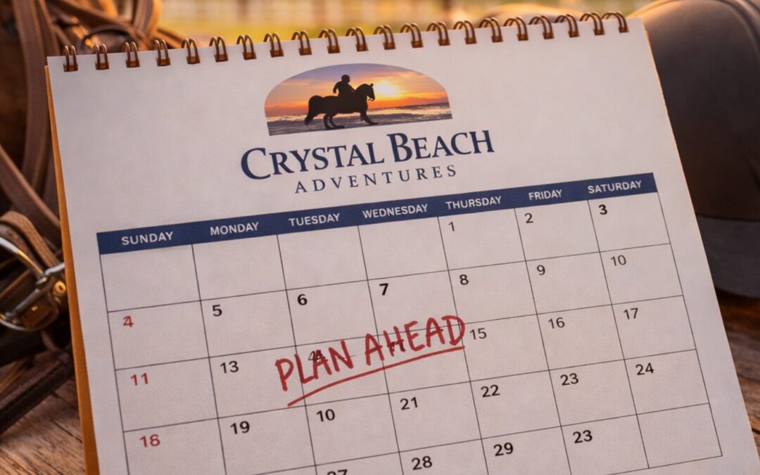 Book Your Lessons Today